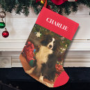 Search for white cat christmas stockings Pet
