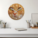 Search for cat clocks Wall