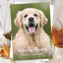 Search for pet memorial cards Funeral
