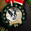 Search for metallic ornaments pet photo