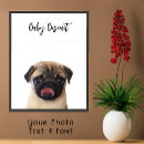 Search for pet portraits Cute