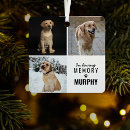 Search for pet memorial ornaments In loving memory