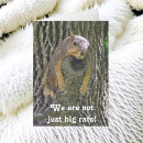 Search for squirrel cards funny