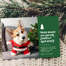 Search for funny holiday cards Dog