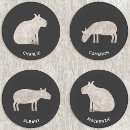 Search for capybara gifts Cute