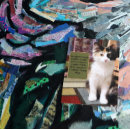 Search for black cat thank you postcards Kitten