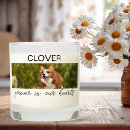 Search for pet memorial candles Sympathy