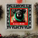 Search for black and white cat ornaments Red