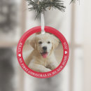 Search for photographer ornaments Dog
