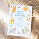 Search for cat birthday invitations Cartoon