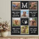 Search for pet portraits Photo collage
