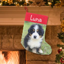 Search for dog lover gifts Bernese mountain dog