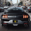 Search for ukrainian plates Tryzub