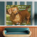 Search for long haired dachshund art Animal
