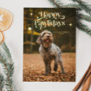 Search for dog holiday cards Happy pawlidays