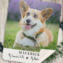 Search for favorite hello hardest goodbye Remembrance