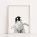 Search for penguin nursery Kids