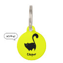 Search for cat tags Pet