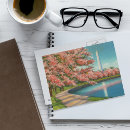 Search for vintage washington dc postcards Cherry blossoms
