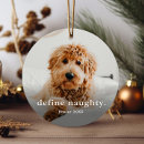 Search for funny christmas gifts pet photo