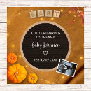 Search for fall pregnancy announcement cards Pumpkin