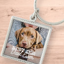 Search for puppy keychains best dog dad ever