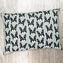 Search for pet supplies Cute