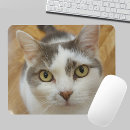 Search for cats mousepads modern