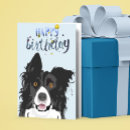 Search for collie birthday