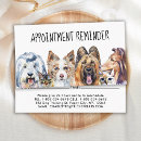 Search for dog grooming business supplies Veterinary