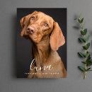 Search for dog sympathy cards in loving memory