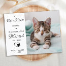 Search for cat save the dates Modern