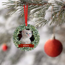 Search for two cats ornaments Kitten