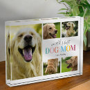 Search for dog photo display Mom