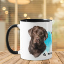 Search for labrador retriever mugs Animal