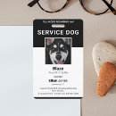 Search for service dog badges Simple