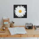 Search for daisy photography posters floral