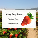 Search for farmers market signs Strawberries