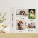 Search for dog scrapbook albums Cat