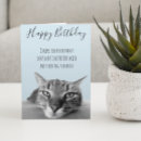 Search for funny cat birthday cards Humor