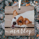 Search for black and white dog ornaments Merry christmas
