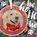 Search for forever home ornaments Zpet