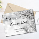 Search for snowflake save the dates White