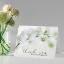 Search for white flowers sympathy thank you cards Funeral