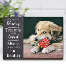 Search for remembrance pet memorials Sympathy