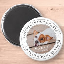 Search for pet memorial magnets In loving memory
