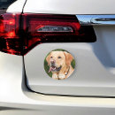 Search for cat car accessories pet