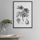 Search for floral line art drawing posters Black and white