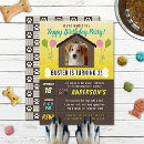 Search for paw invitations Pet photo