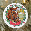 Search for horse ornaments Pet